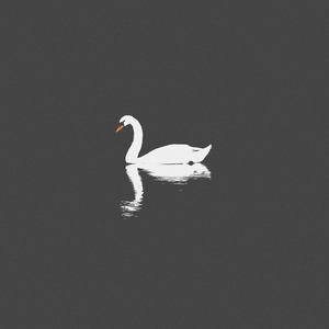 午夜迷情一级毛片
