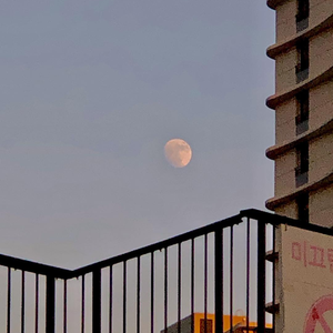 午夜迷情一级毛片
